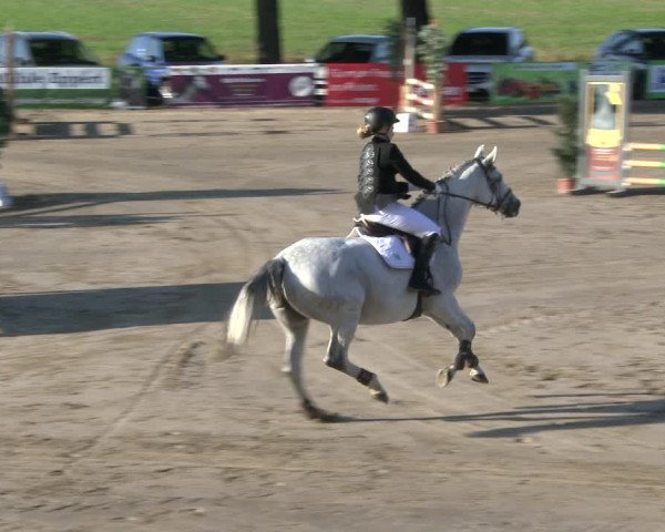 Reitturnier Recklinghausen 2019