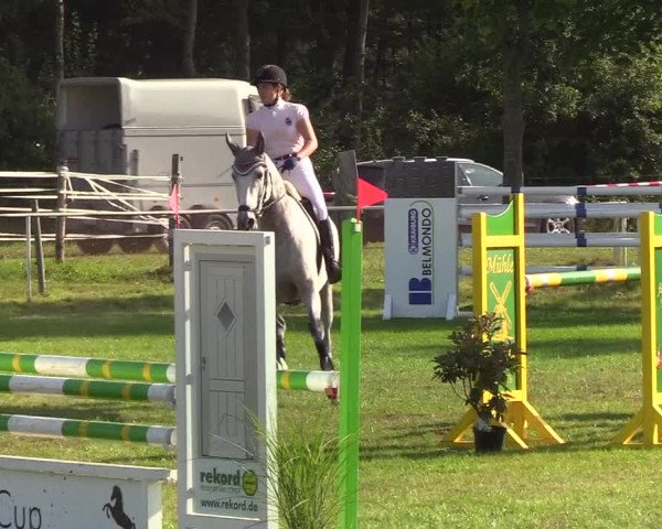 Reitturnier Kellinghusen 2019