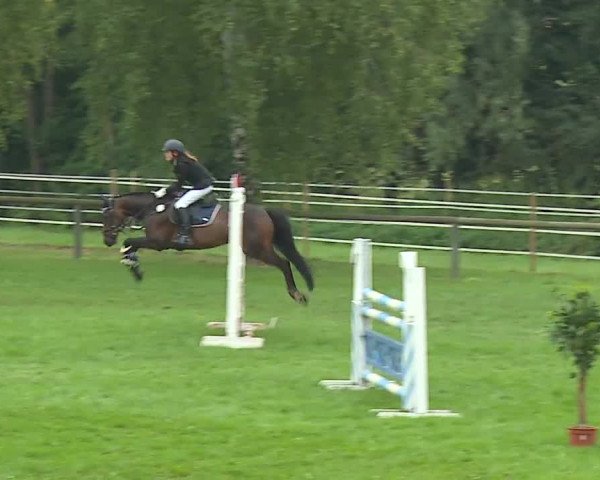Landesponyturnier Ansbach 2019