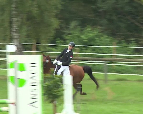 Landesponyturnier Ansbach 2019