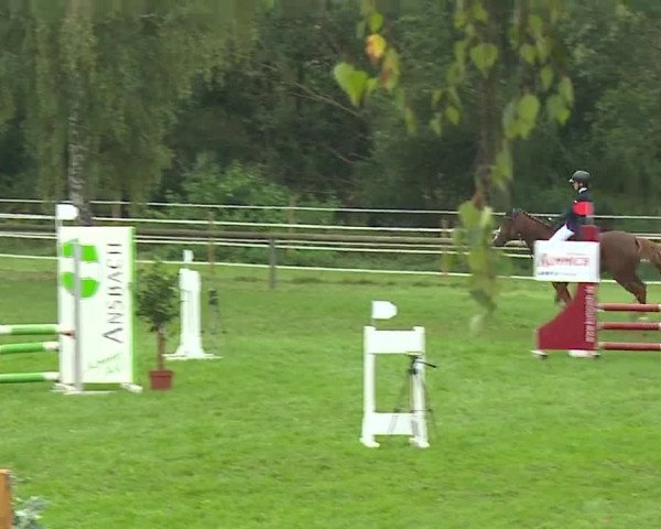 Landesponyturnier Ansbach 2019
