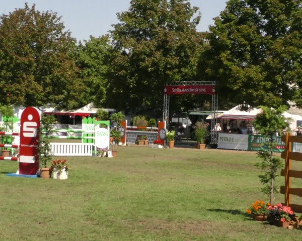 Reitturnier Aschersleben 2019