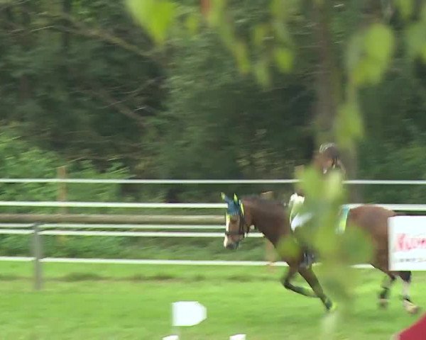 Landesponyturnier Ansbach 2019