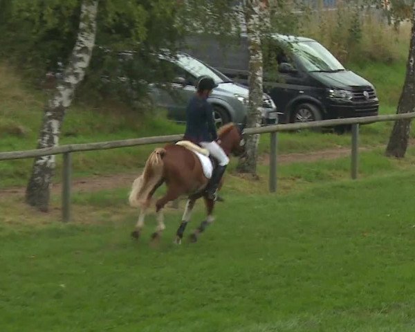 Landesponyturnier Ansbach 2019