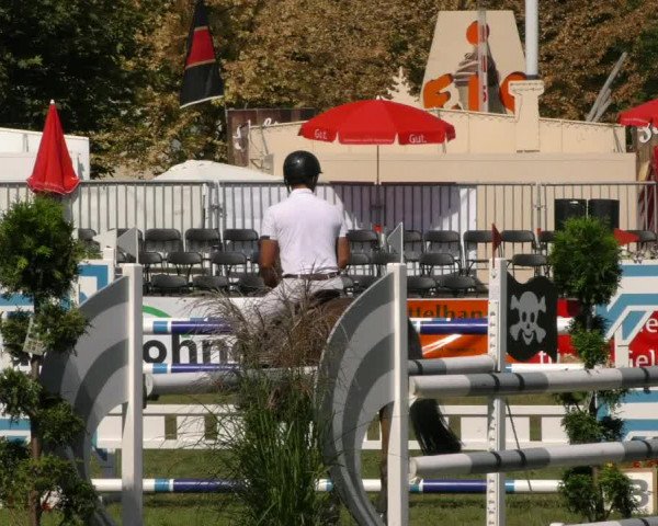 Reitturnier Aschersleben 2019