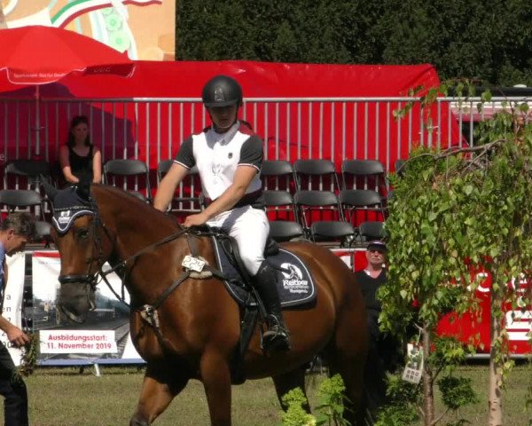 Reitturnier Aschersleben 2019