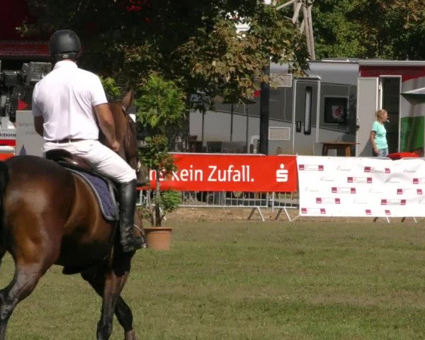 Reitturnier Aschersleben 2019