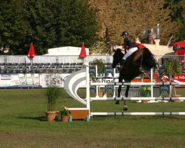 Reitturnier Aschersleben 2019