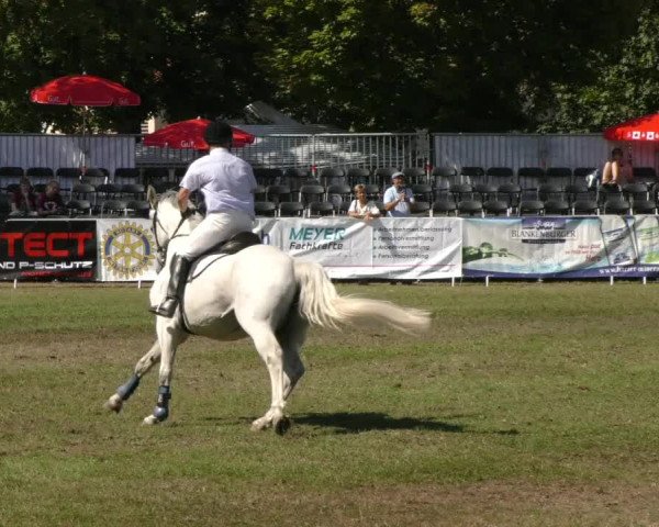 Reitturnier Aschersleben 2019