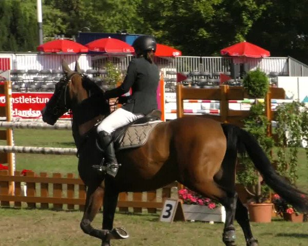 Reitturnier Aschersleben 2019