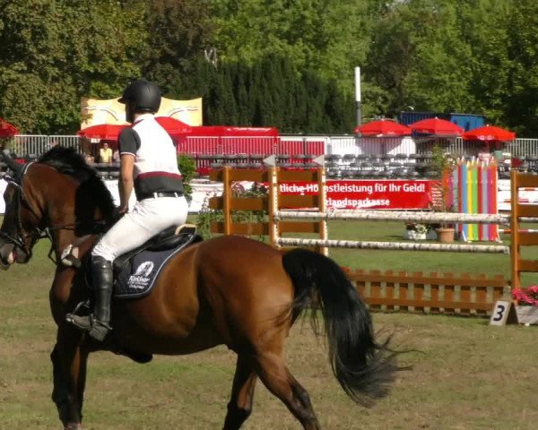 Reitturnier Aschersleben 2019