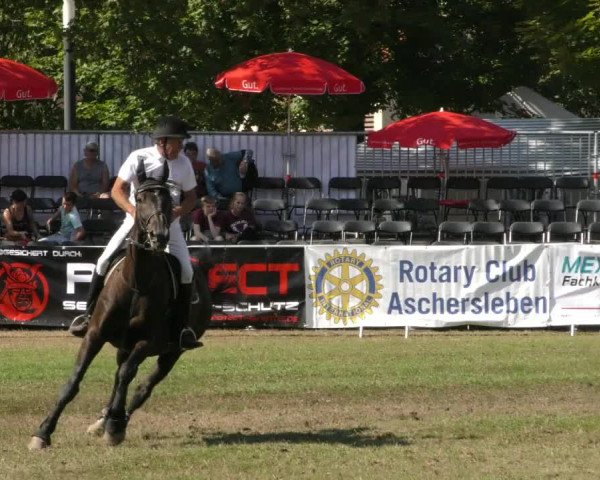 Reitturnier Aschersleben 2019