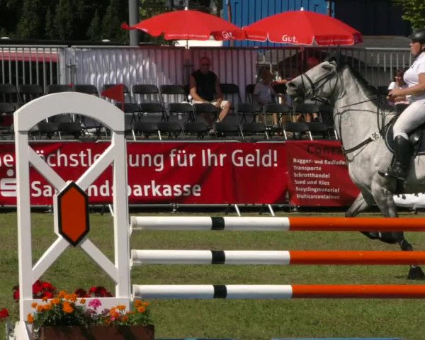 Reitturnier Aschersleben 2019