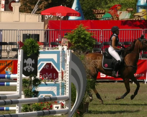 Reitturnier Aschersleben 2019