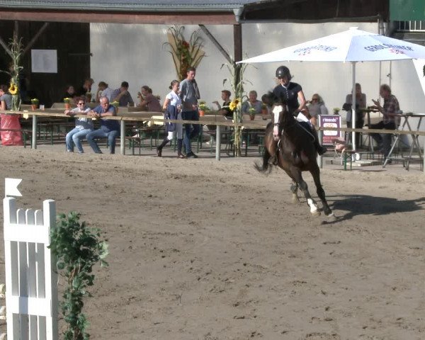 Reitturnier Recklinghausen 2019