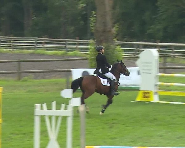 Landesponyturnier Ansbach 2019