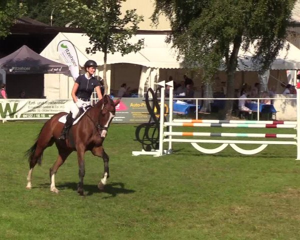 Reitturnier Kellinghusen 2019