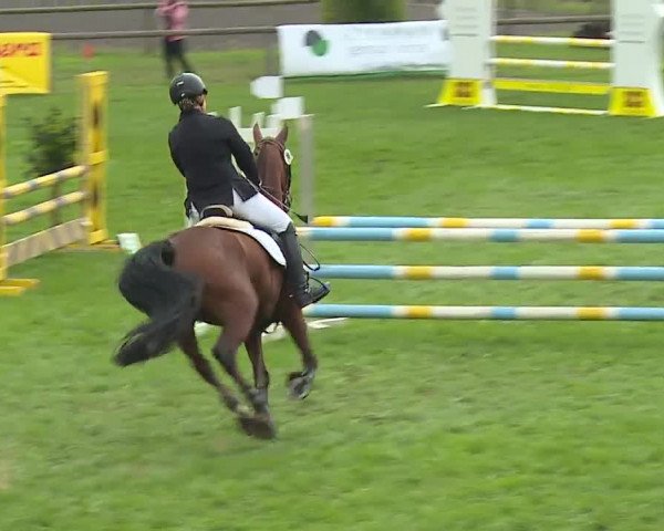 Landesponyturnier Ansbach 2019