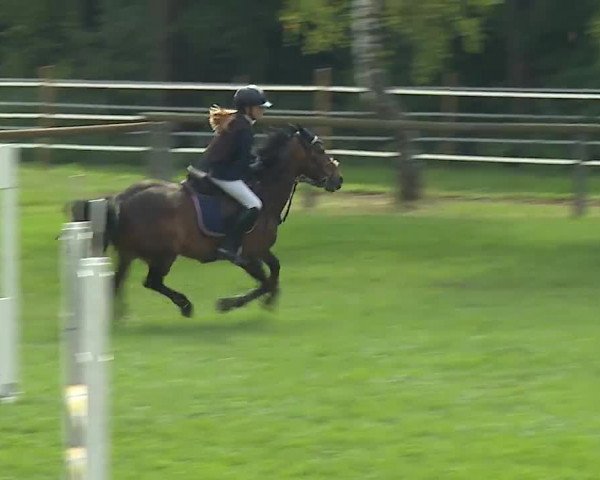 Landesponyturnier Ansbach 2019