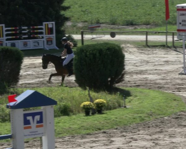 Reitturnier Recklinghausen 2019