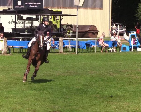 Reitturnier Kellinghusen 2019