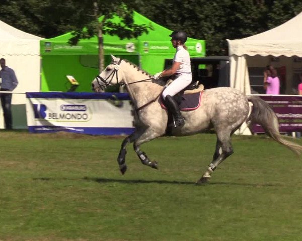 Reitturnier Kellinghusen 2019