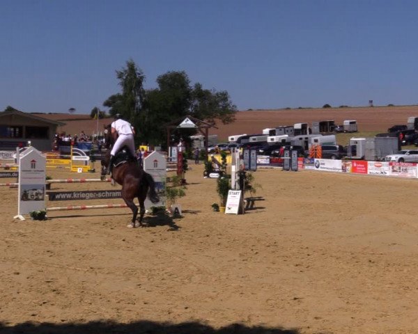 Reitturnier Duderstadt 2019