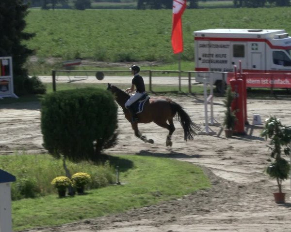 Reitturnier Recklinghausen 2019