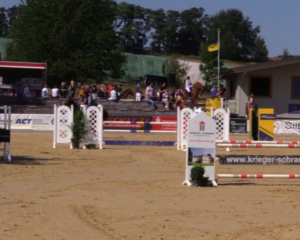 Reitturnier Duderstadt 2019
