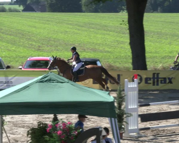 Reitturnier Recklinghausen 2019