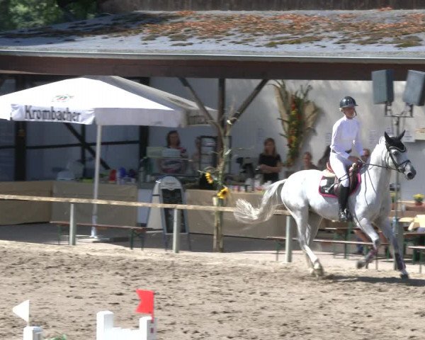 Reitturnier Recklinghausen 2019