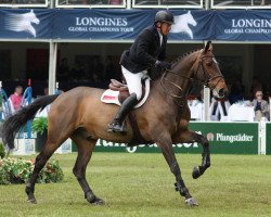jumper Billy Balou (anglo european sporthorse, 2005, from Cevin Z)
