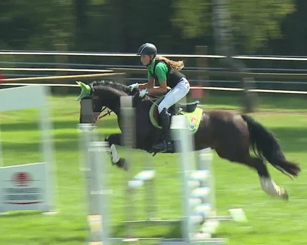 Landesponyturnier Ansbach 2019