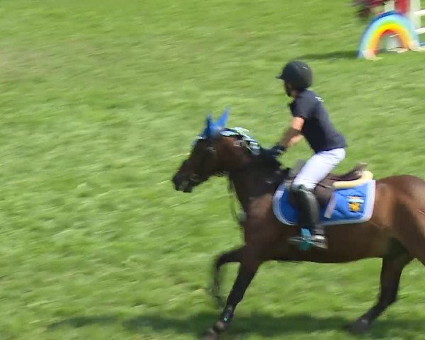 Landesponyturnier Ansbach 2019