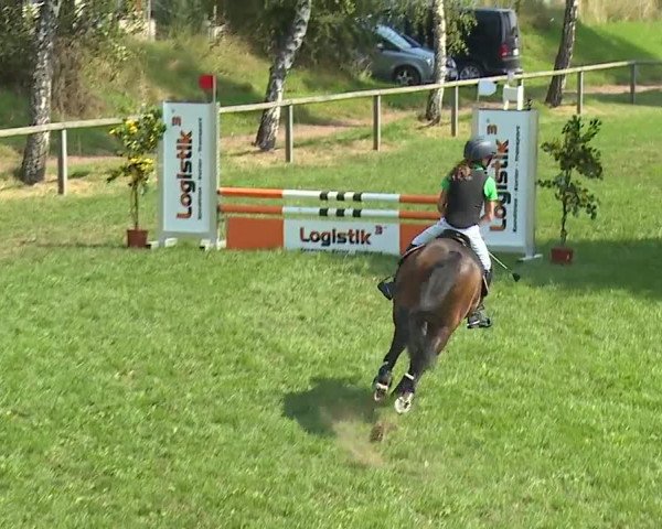 Landesponyturnier Ansbach 2019