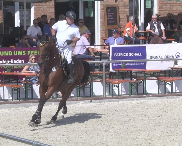 Reitturnier Durmersheim-Hardt 2019