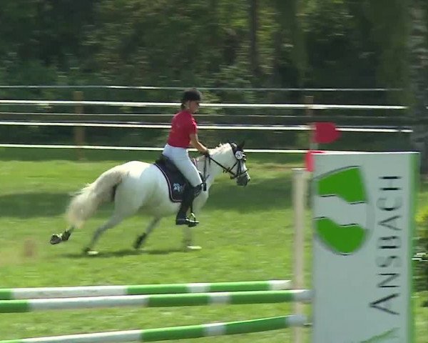 Landesponyturnier Ansbach 2019