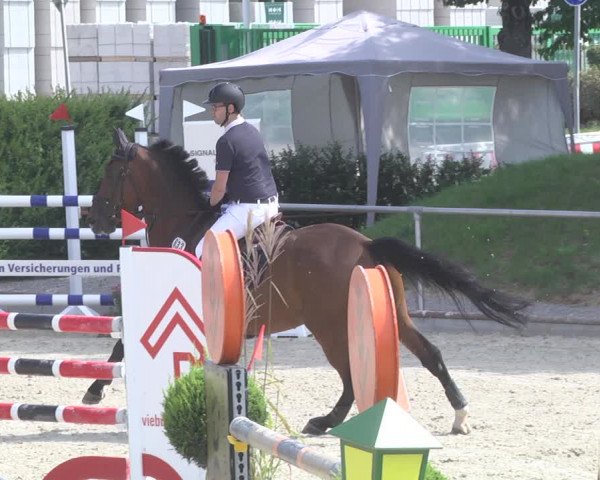 Reitturnier Durmersheim-Hardt 2019