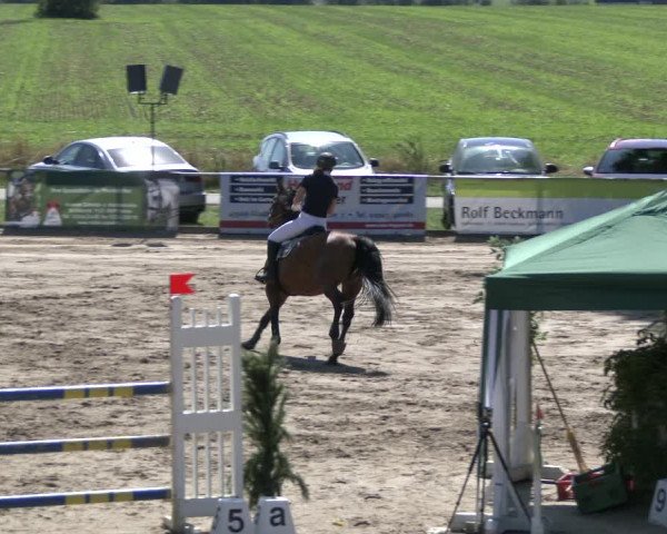 Reitturnier Recklinghausen 2019