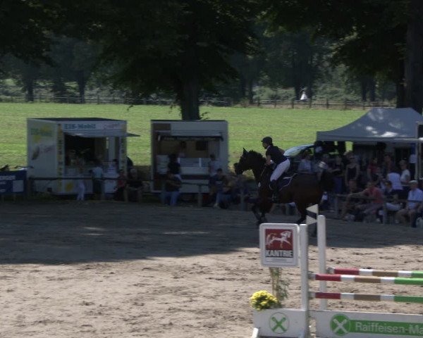 Reitturnier Recklinghausen 2019