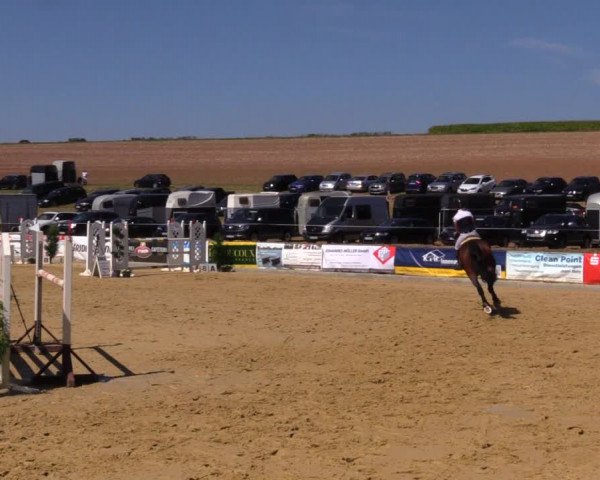 Reitturnier Duderstadt 2019