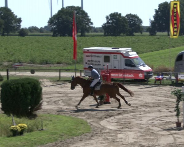Reitturnier Recklinghausen 2019