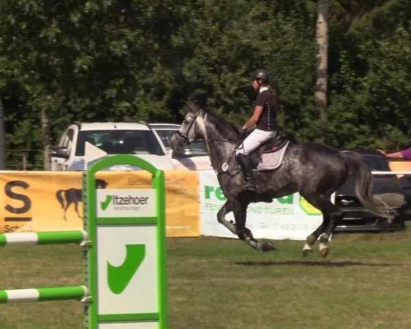 Reitturnier Kellinghusen 2019