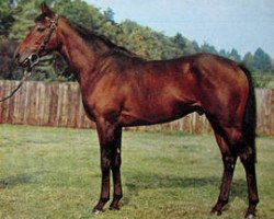 stallion Cavo Doro xx (Thoroughbred, 1970, from Sir Ivor xx)