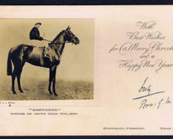 stallion Bosworth xx (Thoroughbred, 1926, from Son In Law xx)