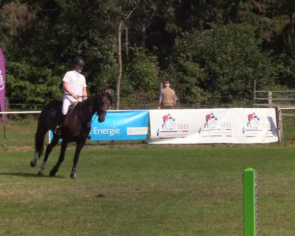 Reitturnier Kellinghusen 2019