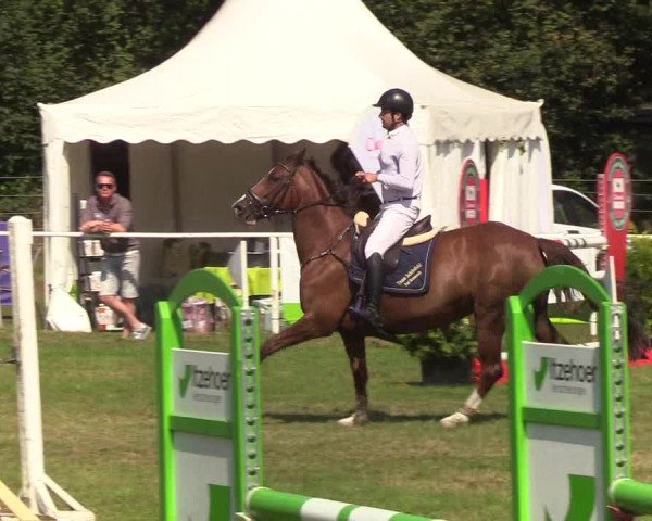 Reitturnier Kellinghusen 2019