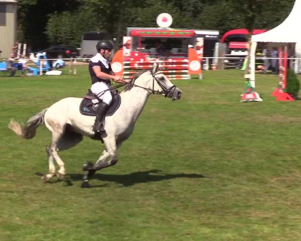 Reitturnier Kellinghusen 2019