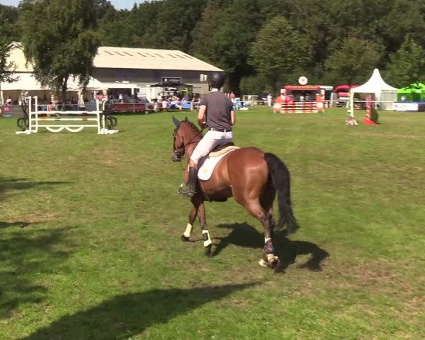 Reitturnier Kellinghusen 2019