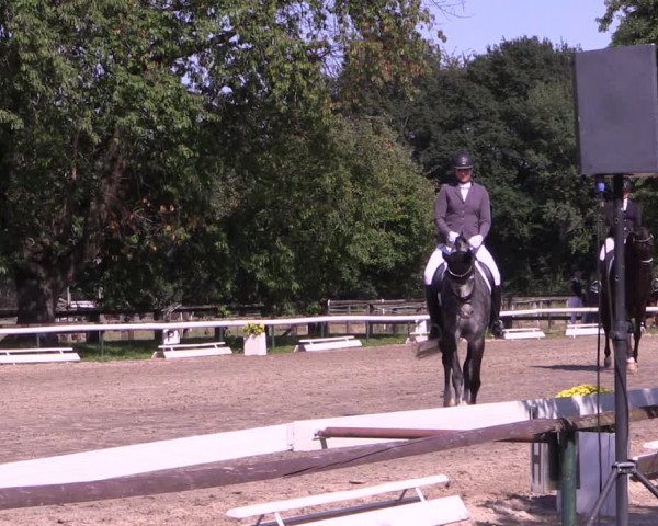 Reitturnier Recklinghausen 2019
